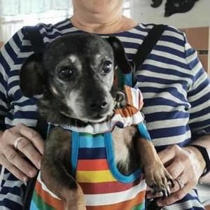 Meet your Posher, Kerry